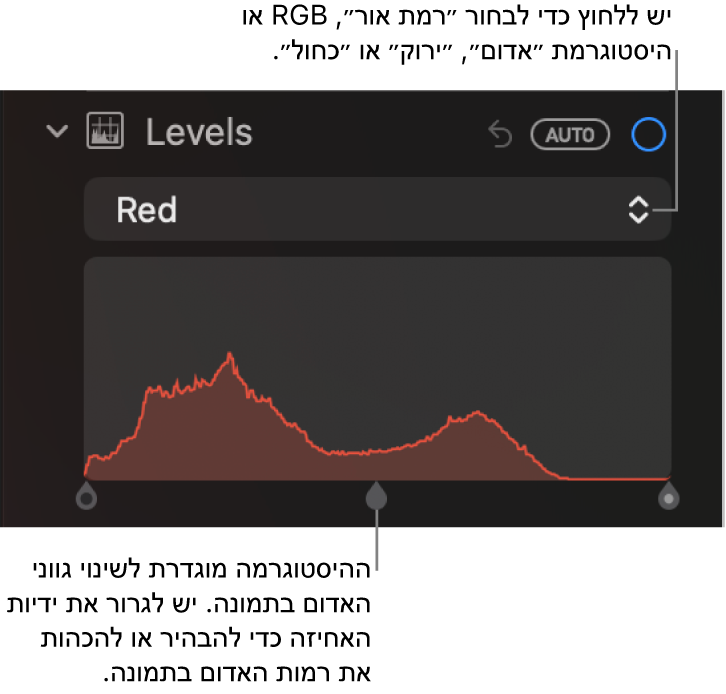 כלי בקרה ״רמות״ בחלונית ״התאם״ המציגה את היסטוגרמת האדום עם ידיות מתחתיה, לתיקון רמות האדום בתמונה.