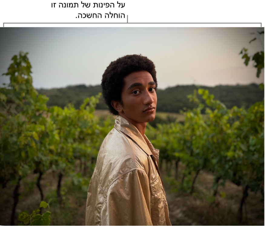 תמונה שהוחלה עליה החשכת פינות, בה ניתן לראות חשיכה מסביב לקצוות.