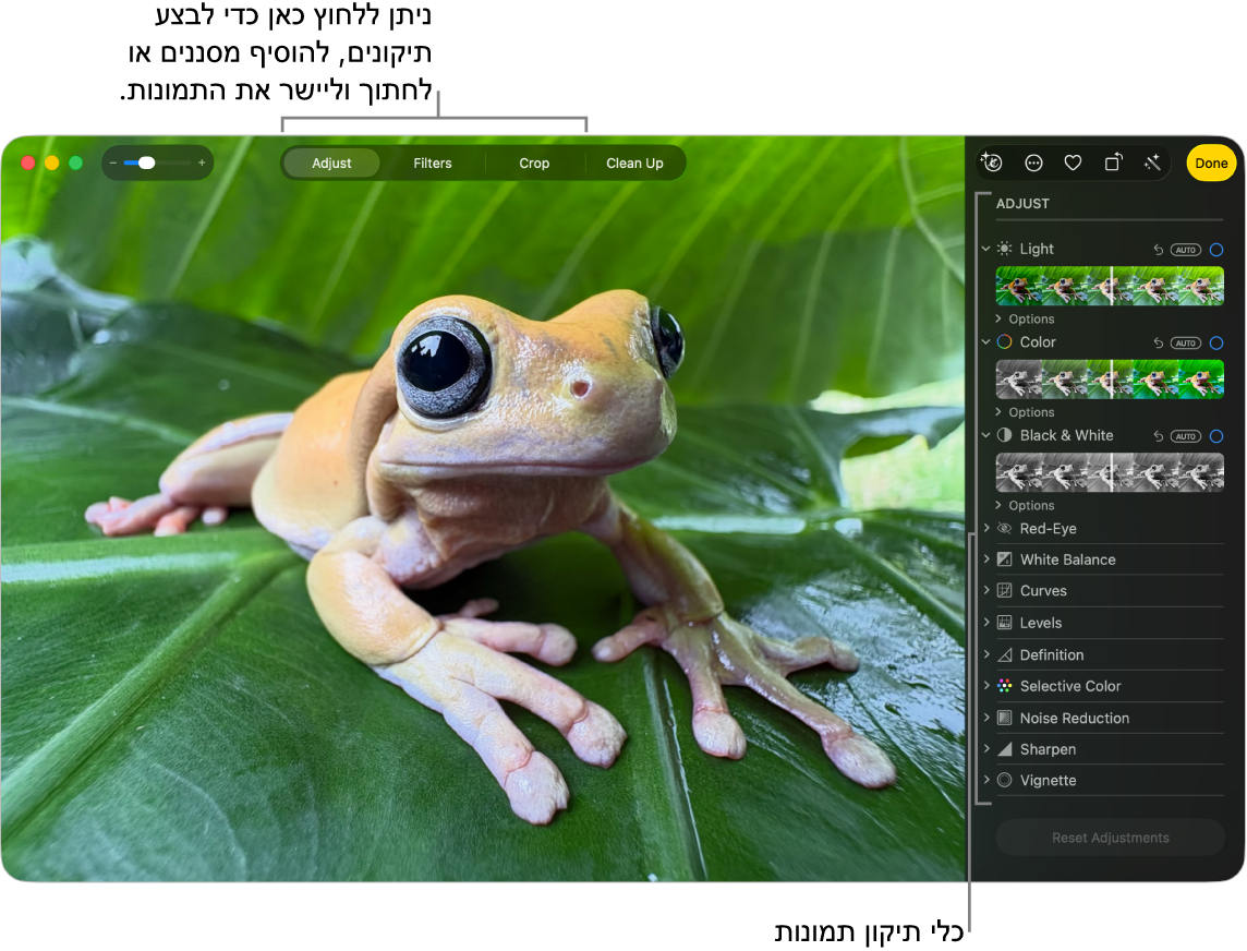 תמונה בתצוגת עריכה, כאשר אפשרות הליטוש נבחרת בסרגל הכלים וכלי ליטוש מוצגים משמאל.