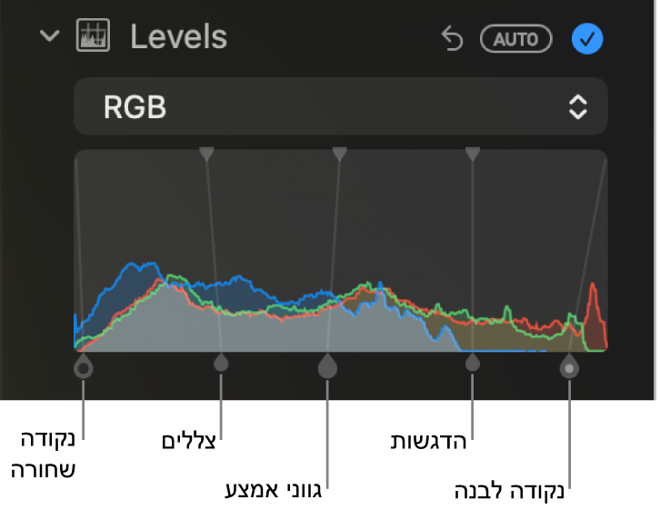 כלי בקרה ״רמות״ בחלונית ״התאם״ המציגה את היסטוגרמת ה‑RGB עם ידיות מתחתיה, כולל (משמאל לימין) נקודה שחורה, צללים, גווני אמצע, הדגשות ונקודה לבנה.