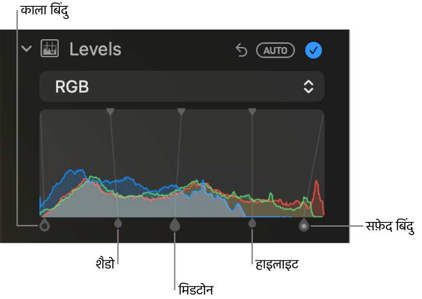 ब्लैक पॉइंट, शैडो, मिडटोन, चिह्नांकन और ह्वाइट पॉइंट (बाएँ से दाएँ) सहित नीचे की ओर दिया गया हैंडल वाला RGB हिस्टोग्राम दिखाता ऐडजस्ट करें पेन में स्तर नियंत्रण।
