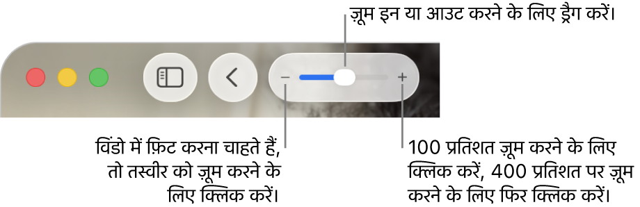 ज़ूम कंट्रोल दिखाता हुआ टूलबार।