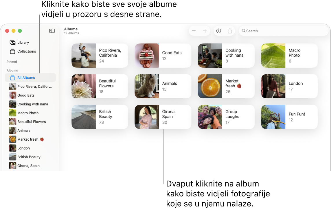 Prozor aplikacije Foto s Albumima odabranim u rubnom stupcu i albumi prikazani s desne strane.
