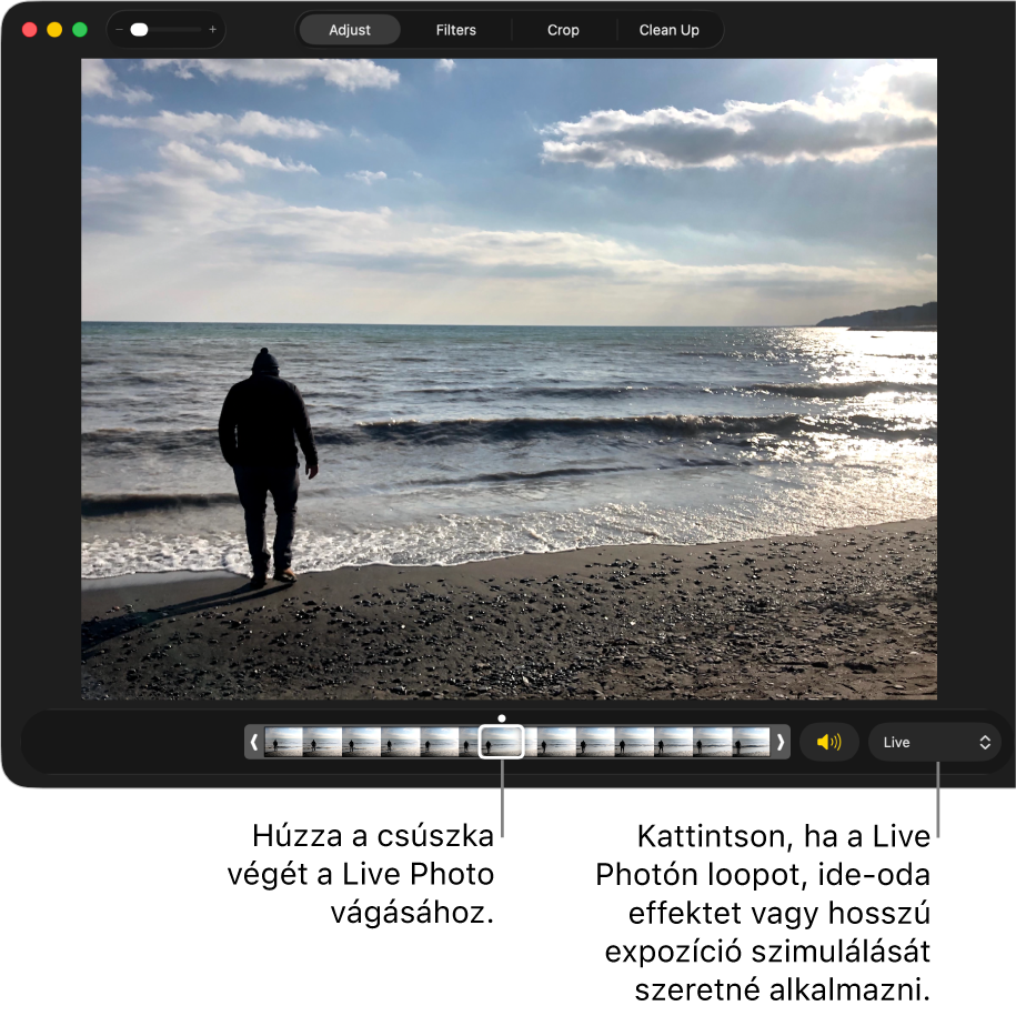 Live Photo szerkesztési nézetben; az alatta lévő csúszka megjeleníti a fotó képkockáit. A csúszka jobb oldalán a Hangszóró gomb és egy felugró menü található, amely segítségével ismétlés, oda-vissza és hosszú expozíció effektet adhat hozzá.