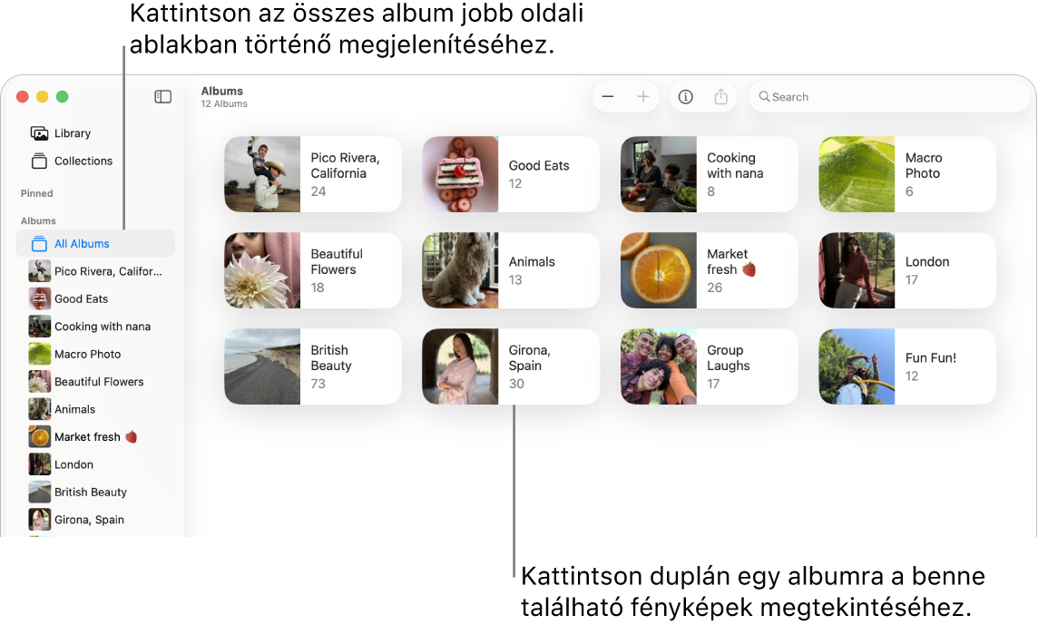 A Fotók ablaka az oldalsávon a kiválasztott Albumok elemmel, a jobb oldalon albumok láthatók.