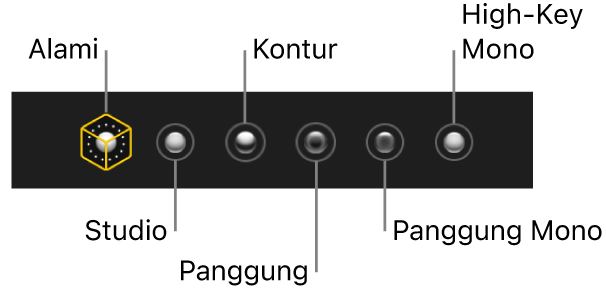 Pilihan efek pencahayaan mode potret, termasuk (dari kiri ke kanan) Alami, Studio, Kontur, Panggung, Panggung Mono, High-Key Mono.