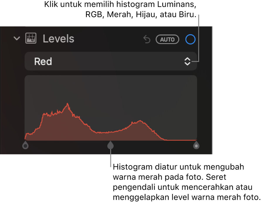 Kontrol Level di panel Sesuaikan, menampilkan histogram Merah dengan pengendali di bawah untuk menyesuaikan level merah foto.