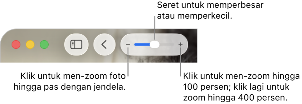 Bar alat menampilkan kontrol zoom.