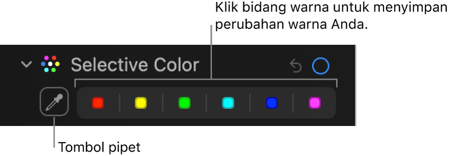 Kontrol Pilihan Warna di panel Sesuaikan, menampilkan tombol Pipet dan sumber warna.