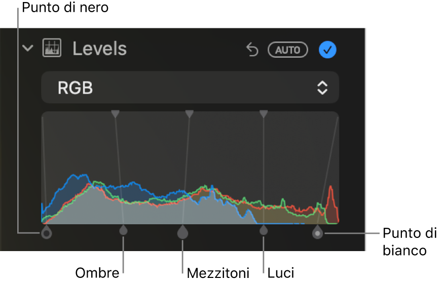 I controlli di Livelli nel pannello Regola, che mostrano l’istogramma RGB con le maniglie al di sotto, con (da sinistra a destra) il punto di nero, le ombre, i mezzitoni, i punti di luce e il punto di bianco.