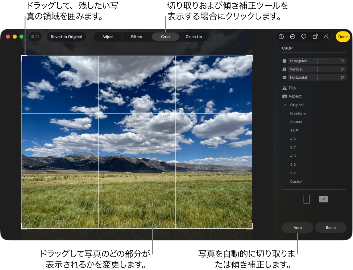 編集ビューの写真。ツールバーで「切り取り」が選択され、写真の周りには選択範囲の長方形が、右側には傾き補正スライダ、アスペクト比のオプション、「自動」と「リセット」ボタンがあります。