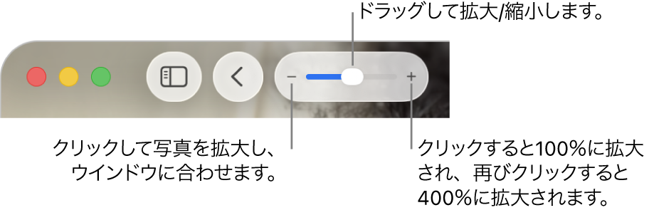 拡大/縮小コントロールが表示されているツールバー。