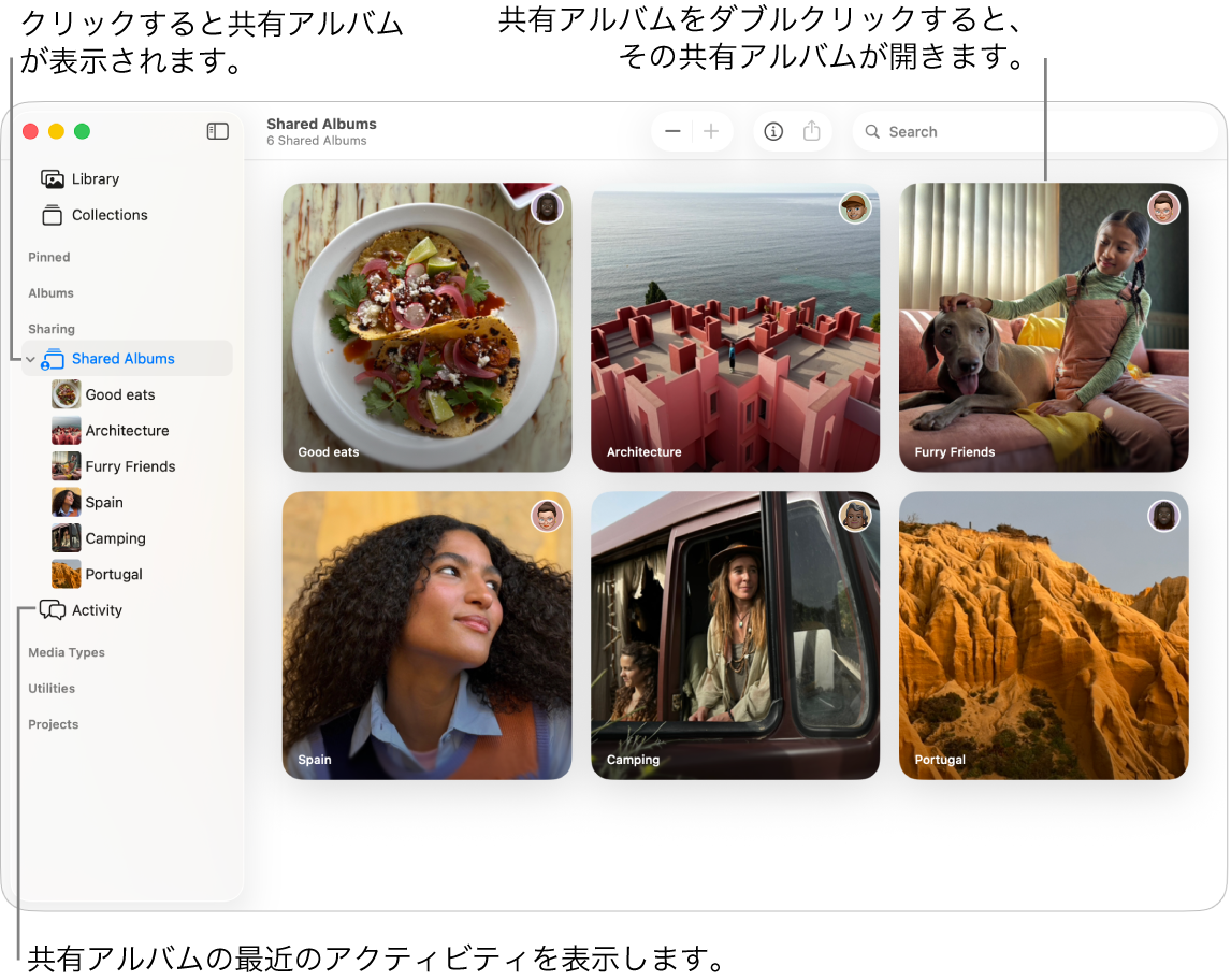 「写真」ウインドウ。サイドバーで「共有アルバム」が選択されていて、共有アルバムが右側に表示されています。