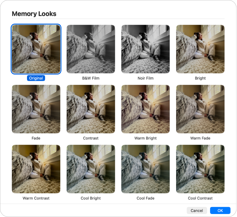 「写真」ウインドウ。メモリーの項目に適用できる見た目が表示されています。