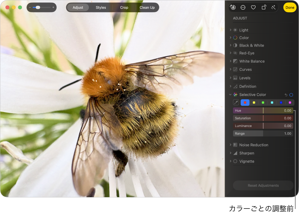 カラーごとの調整前の写真。