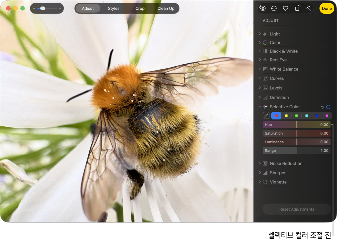 셀렉티브 컬러 조절 전 사진.