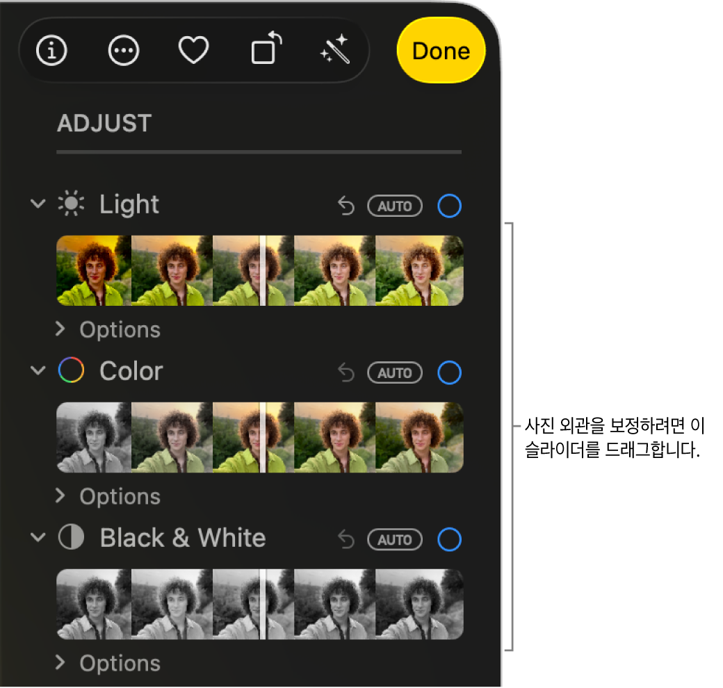 조절 패널의 빛, 색상 및 암부 및 명부 슬라이더. 각 슬라이더 위에 나타난 자동 버튼.