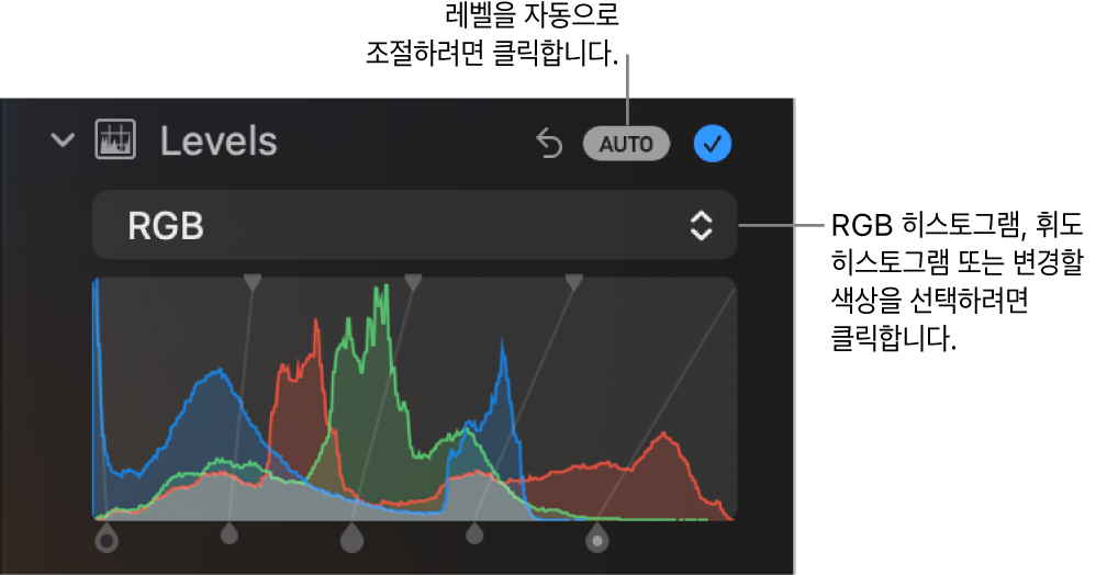 오른쪽 상단에 자동 버튼과 아래에 RGB 히스토그램이 표시된 조절 패널의 레벨 제어기.