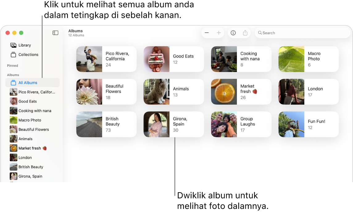 Tetingkap foto dengan Album dipilih dalam bar sisi dan album ditunjukkan di sebelah kanan.