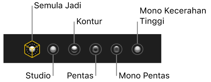 Pilihan kesan pencahayaan mod Potret, termasuk (dari kiri ke kanan) Semula Jadi, Studio, Kontur, Pentas, Pentas Mono dan Mono Kecerahan Tinggi.