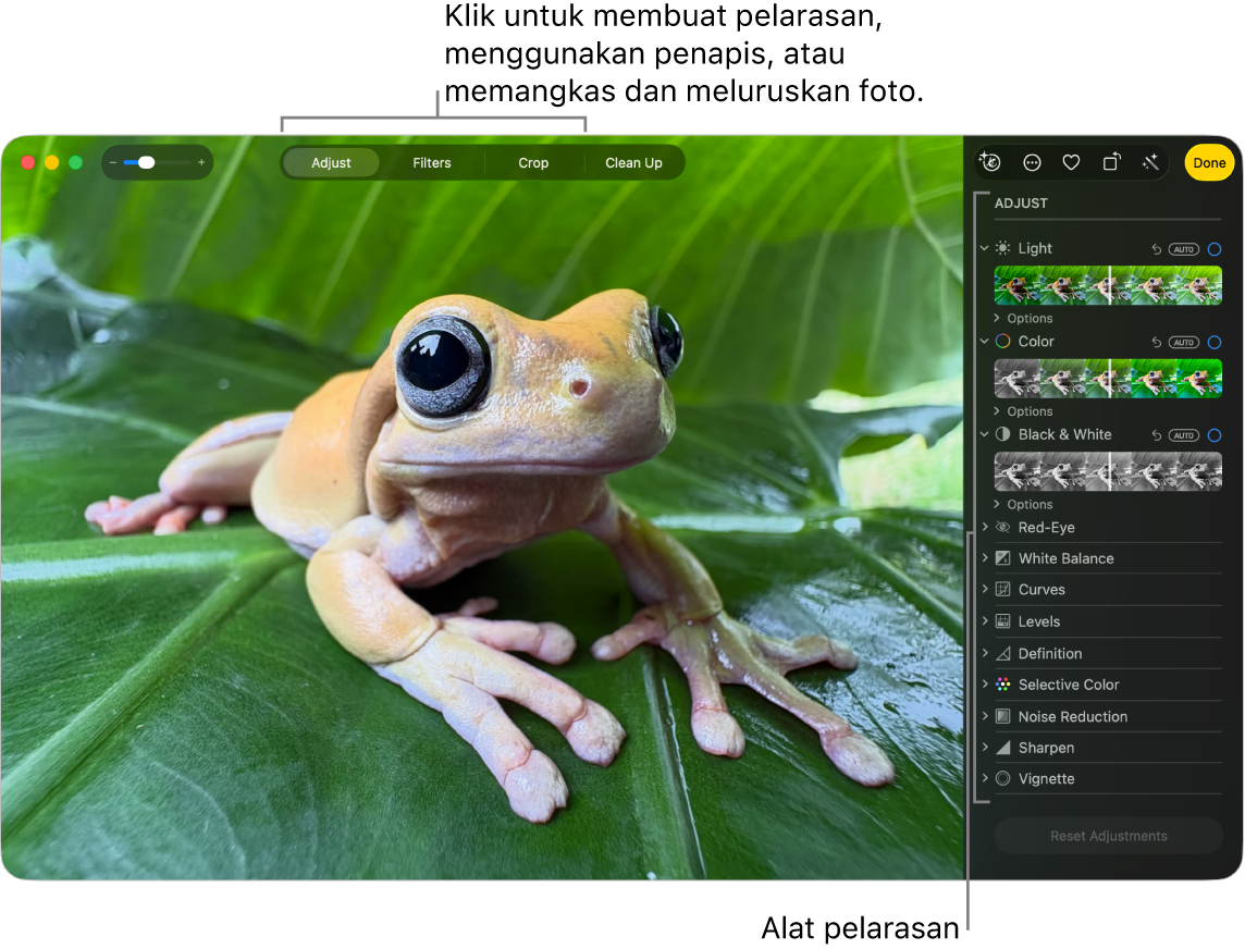 Foto dalam paparan pengeditan, dengan Laras dipilih dalam bar alat dan alat pelarasan di sebelah kanan.