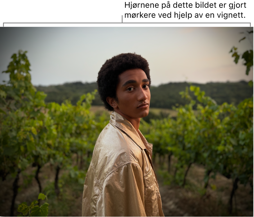 Et bilde med vignett, som viser mørke områder rundt kantene.