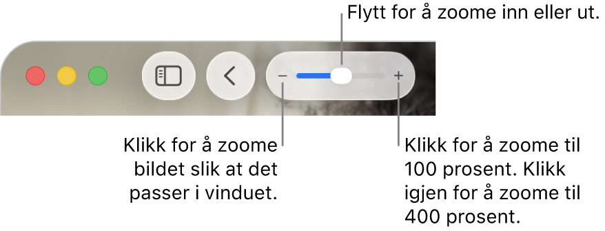 Verktøylinjen med zoomkontroller.