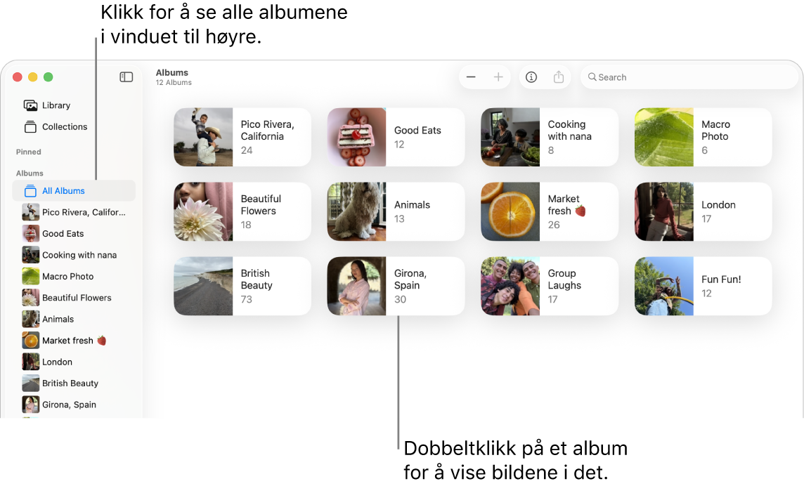 Bilder-vinduet har Mine albumer markert i sidepanelet, og albumer vises til høyre.