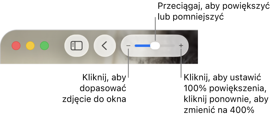 Pasek narzędzi z narzędziami powiększania i pomniejszania.