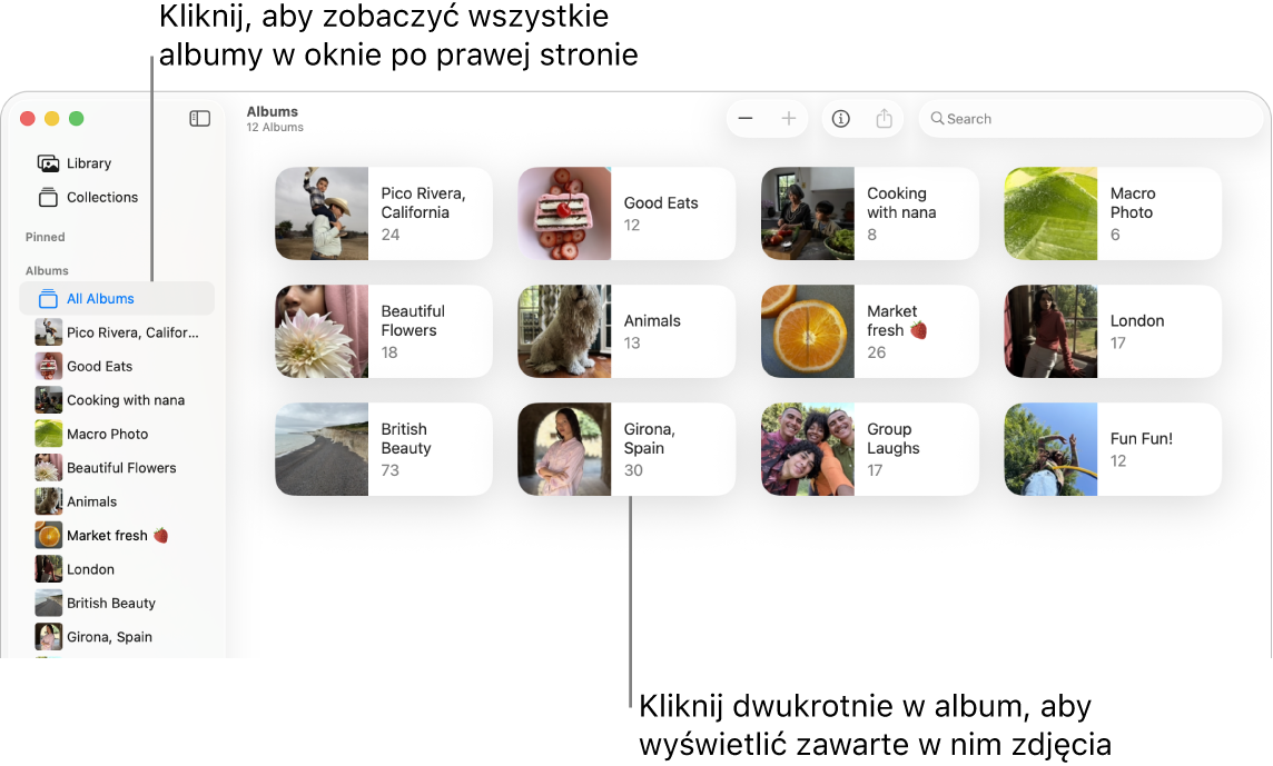 Okno aplikacji Zdjęcia z zaznaczoną etykietą Albumy na pasku bocznym oraz wyświetlanymi po prawej albumami.