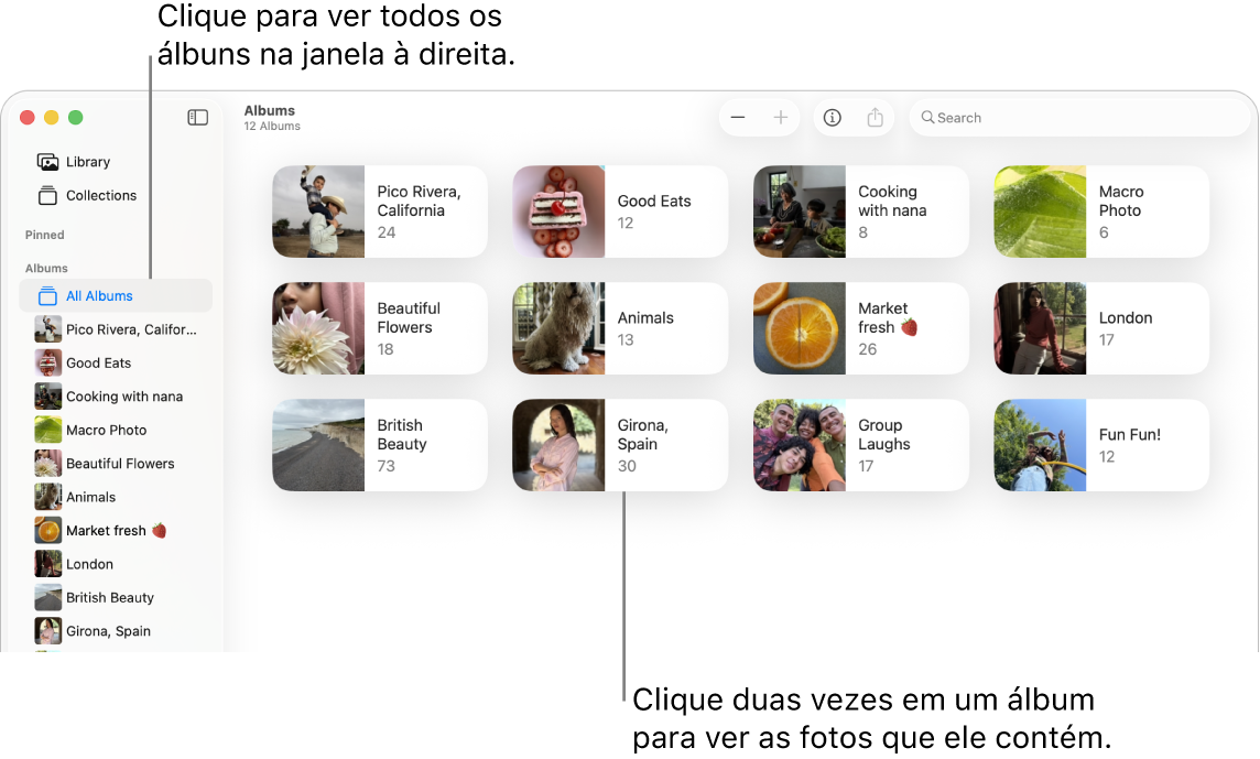 A janela do app Fotos, com Álbuns selecionado na barra lateral e álbuns mostrados à direita.