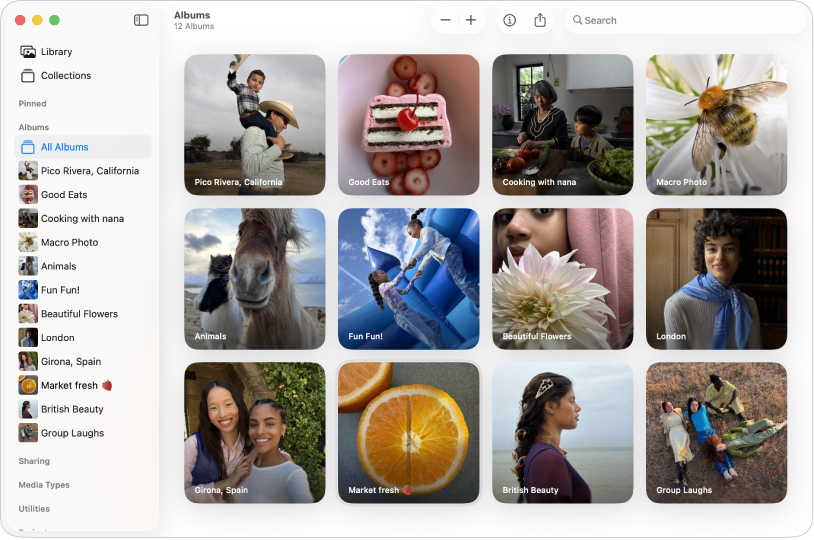 A janela do app Fotos, com a opção Todos os Álbuns selecionada na barra lateral e álbuns mostrados à direita.