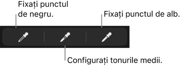 Trei pipete utilizate pentru a configura punctul de negru, tonurile medii și punctul de alb al pozei sau clipului video.