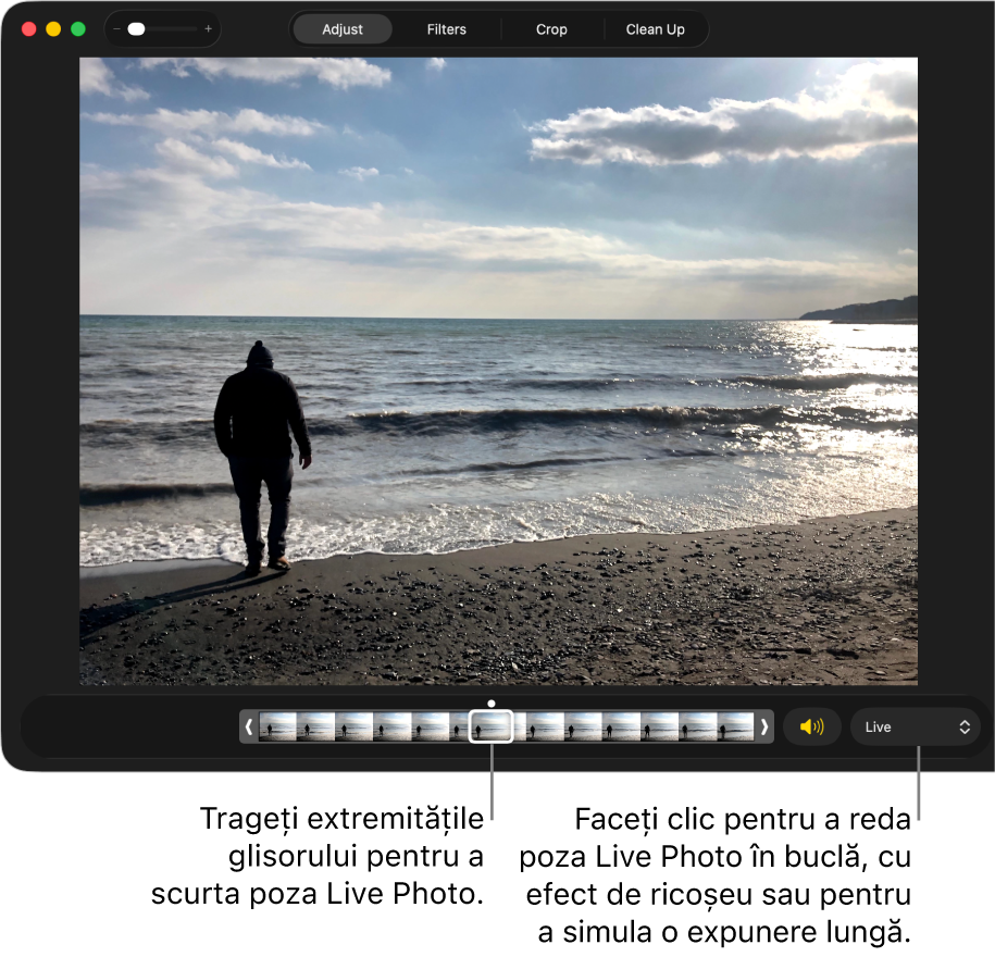 O poză Live Photo în vizualizarea de editare, având dedesubt un glisor care afișează cadrele pozei. În dreapta glisorului se află butonul Difuzor și un meniu pop‑up pe care îl puteți utiliza pentru a adăuga un efect de repetare în buclă, de ricoșeu sau de expunere lungă.