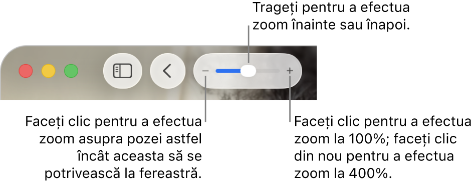 Bara de instrumente afișând comenzile de zoom.