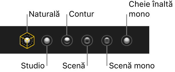 Opțiuni pentru efectul de iluminare al modului Portret, inclusiv (de la stânga la dreapta) Natural, Studio, Contur, Scenă, Scenă mono și Cheie înaltă mono.