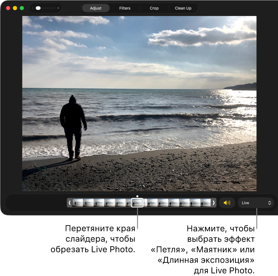Снимок Live Photo в режиме редактирования с бегунком под фотографией, который показывает кадры фотографии. Справа от бегунка находятся кнопка динамика и всплывающее меню для добавления эффекта зацикливания, маятника или длинной экспозиции.