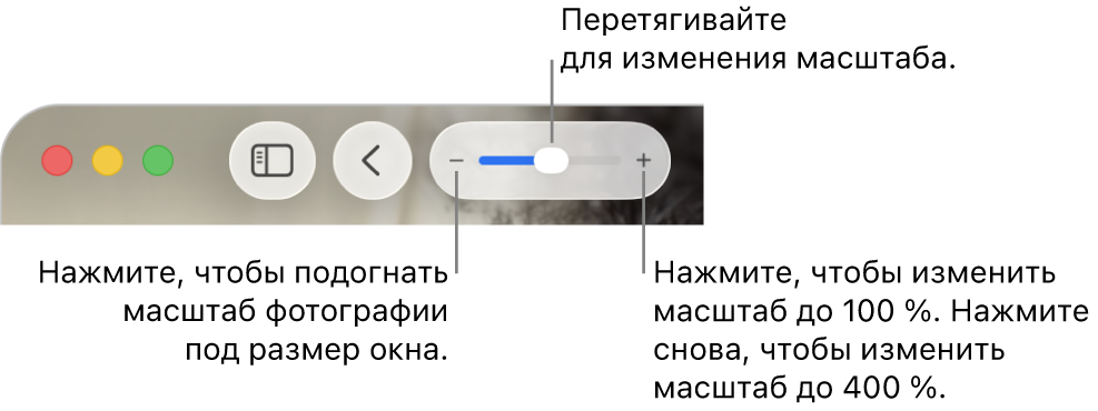 Панель инструментов с элементами управления масштабом.