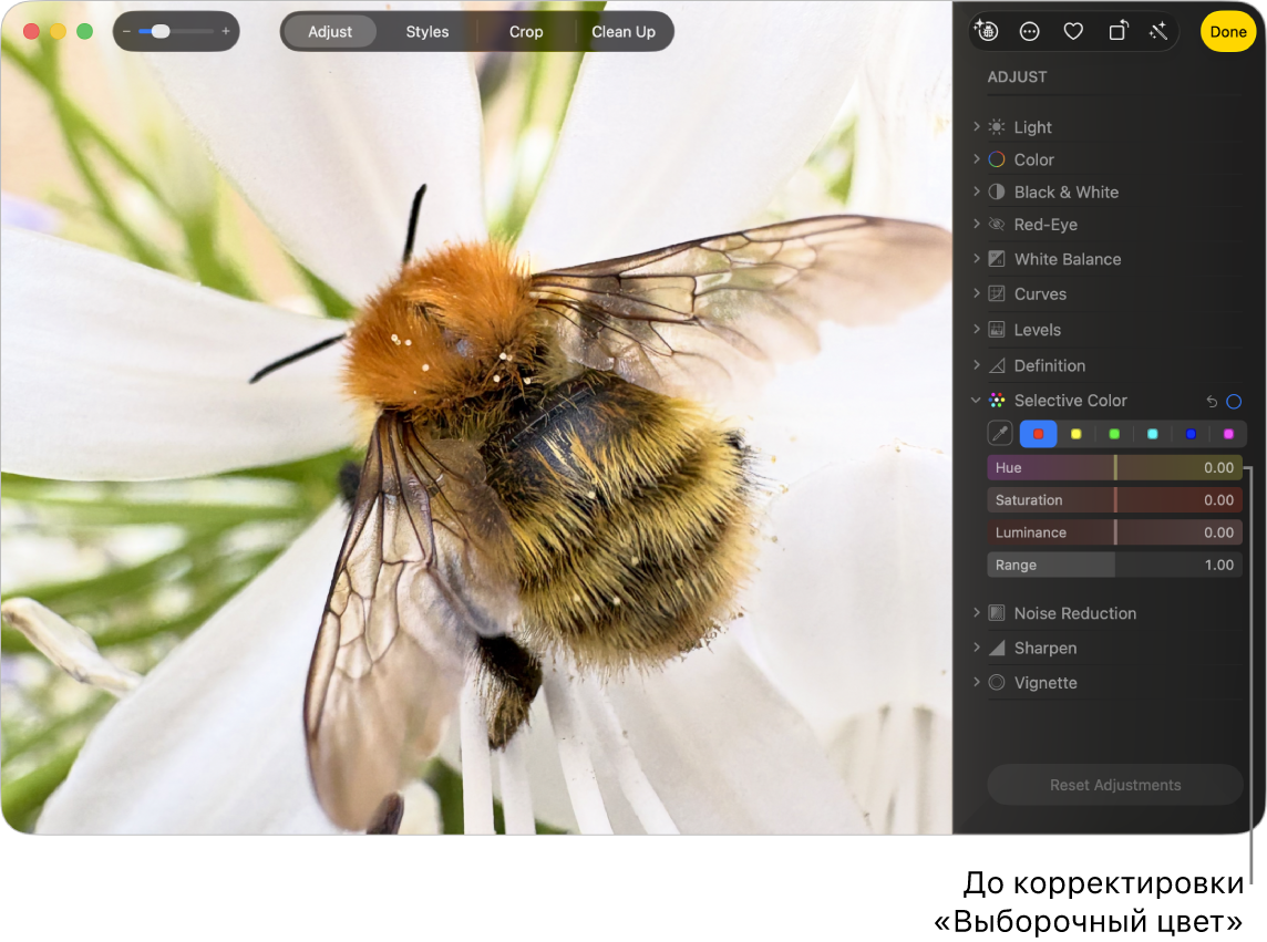 Фотография до коррекции выборочного цвета.
