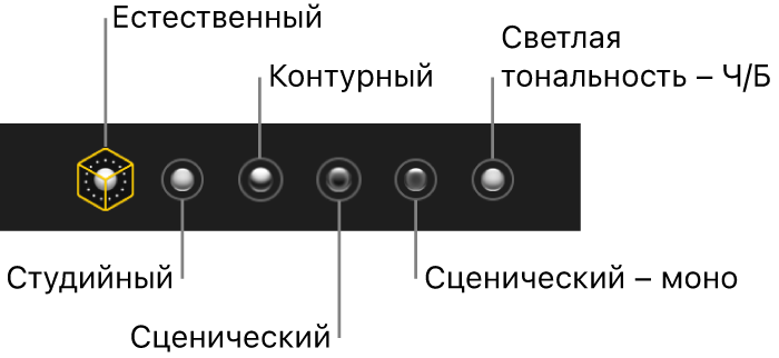 Выбор световых эффектов для портрета, включая (показаны слева направо): Естественный, Студийный, Контурный, Сценический, Сценический – моно и Светлая тональность – Ч/Б.