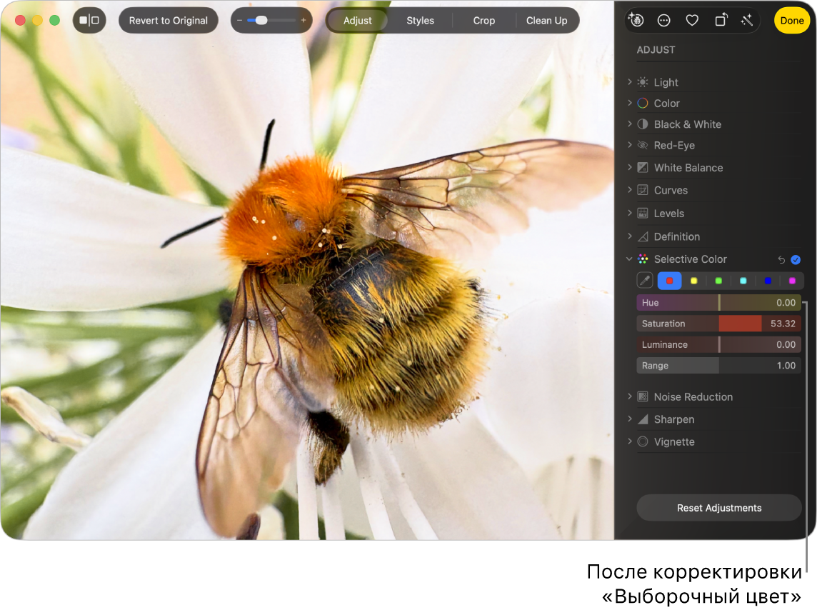 Фото после коррекции выборочного цвета. Насыщенность цвета увеличена.