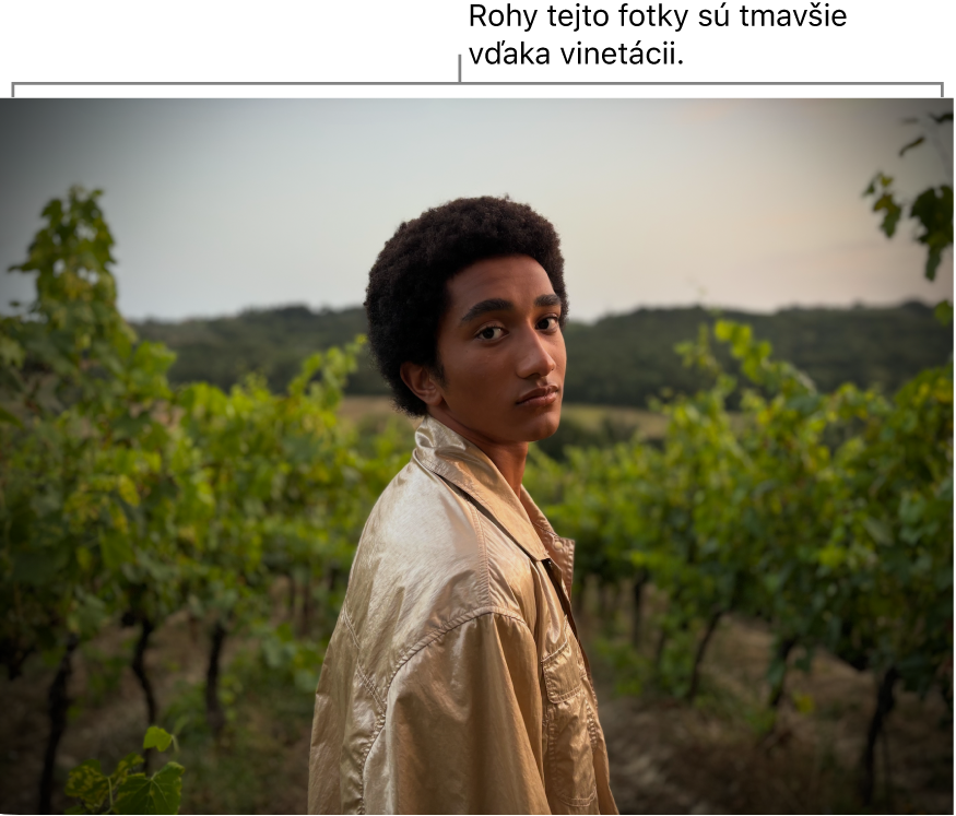 Fotka s použitou vinetáciou s tmavým odtieňom okolo okrajov.