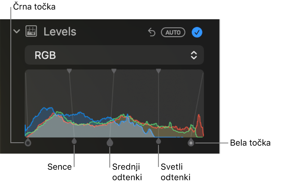Krmilne funkcije možnosti Ravni v podoknu Prilagodi s prikazom histograma RGB z ročicami spodaj, vključno s (od leve proti desni) črno točko, sencami, srednjimi in svetlimi odtenki ter belo točko.