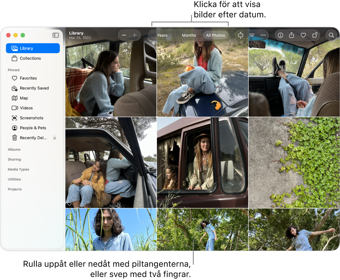 Fönstret Bilder där Alla bilder är markerat i verktygsfältet och bilder som är ordnade efter datum visas i fönstrets huvudområde.