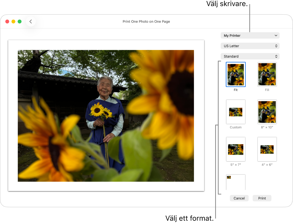 Ett fönster för att välja utskriftsalternativ med en förhandsvisning av utskriften till vänster och utskriftsalternativ till höger.