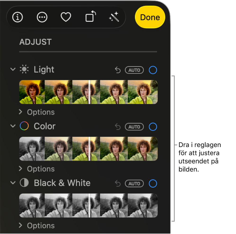 Reglagen Ljus, Färg och Svartvit på panelen Justera. Ovanför varje reglage finns en Auto-knapp.