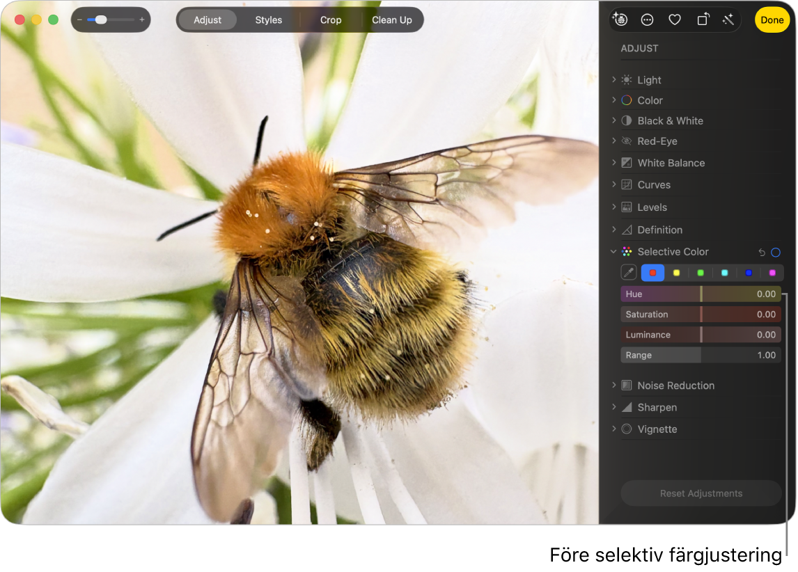 En bild före selektiv färgjustering.