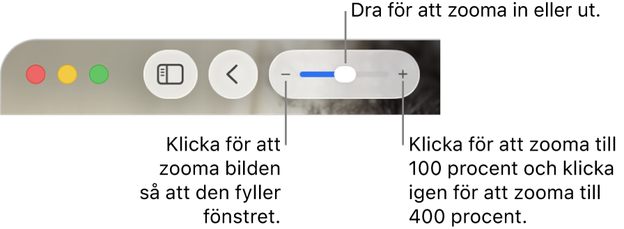 Verktygsfältet med zoomreglage.