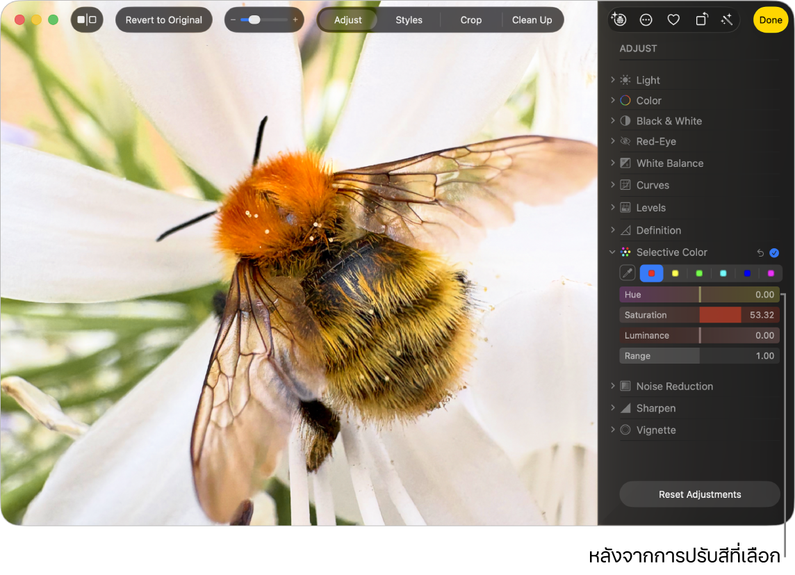 รูปภาพหลังการปรับสีที่เลือก โดยแสดงความอิ่มตัวของสีที่เพิ่มขึ้น