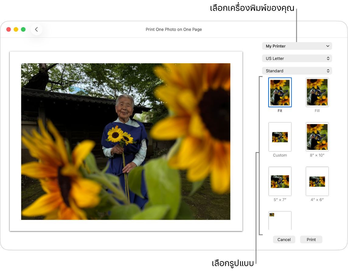 หน้าต่างสำหรับการเลือกตัวเลือกการพิมพ์ โดยมีพื้นที่แสดงตัวอย่างก่อนพิมพ์อยู่ทางด้านซ้ายและตัวเลือกการพิมพ์อยู่ทางด้านขวา